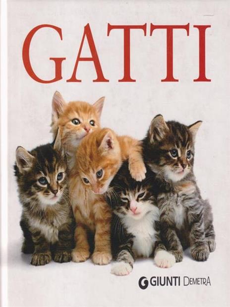 Gatti - copertina