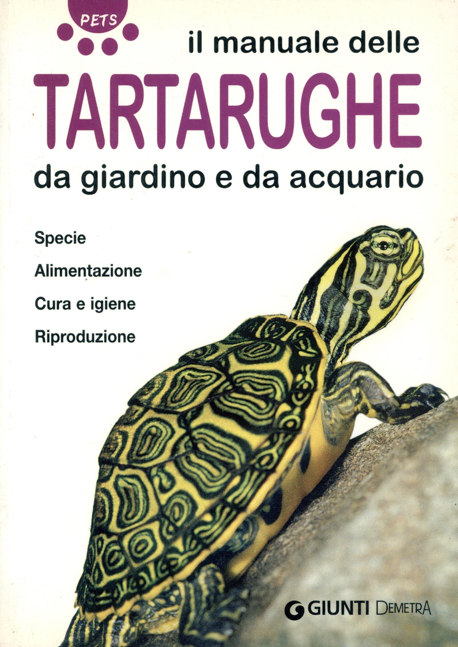 Torre di Babele