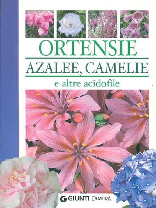 Ortensie, azalee, camelie e altre acidofile. Ediz. illustrata - Piero Lombardi - 2