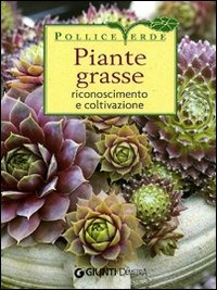 Libraccio
