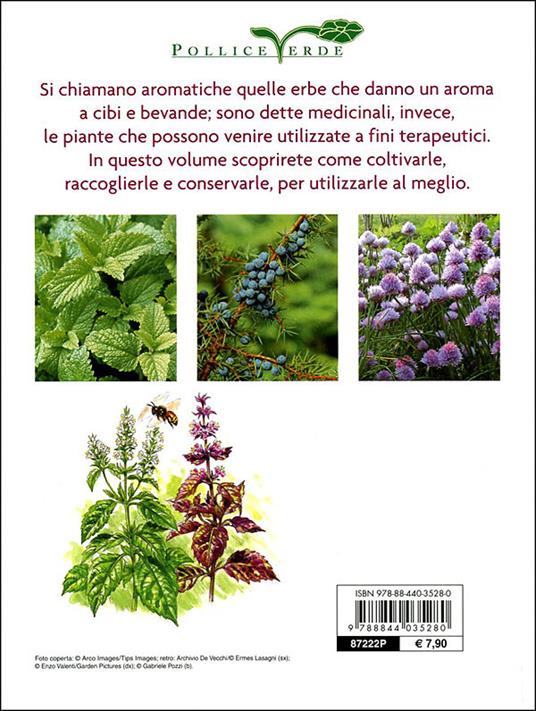 Piante aromatiche e medicinali in giardino e in vaso - 3
