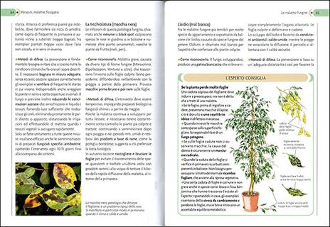 Piante in salute. Il pronto soccorso verde - 3