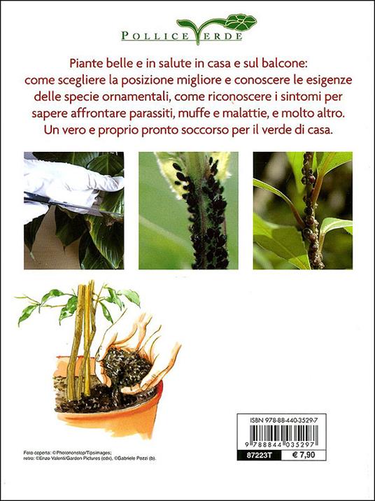 Piante in salute. Il pronto soccorso verde - 4
