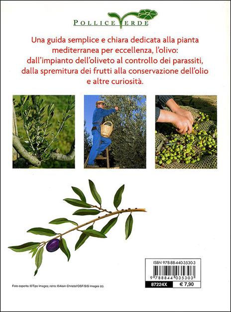 L' olivo. Coltivazione, raccolta e utilizzo. Ediz. illustrata - Adriano Del Fabro - 3