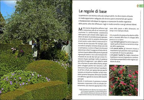 Potatura e riproduzione in giardino. Ediz. illustrata - Enrica Boffelli,Guido Sirtori - 2