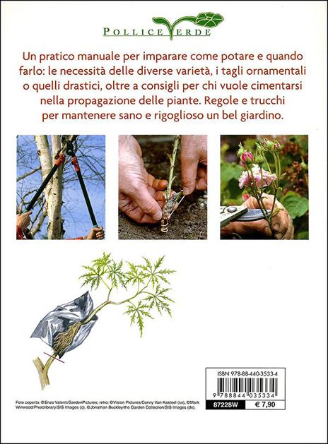 Potatura e riproduzione in giardino. Ediz. illustrata - Enrica Boffelli,Guido Sirtori - 3