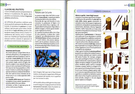 Calendario lunare di tutti i lavori agricoli. Ediz. illustrata - 2