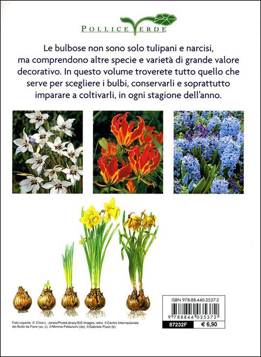 Bulbose. Varietà, fioritura e cure colturali - Mimma Pallavicini - 3