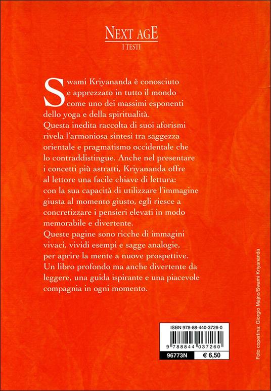 Come un raggio di luce - Kriyananda Swami - 3