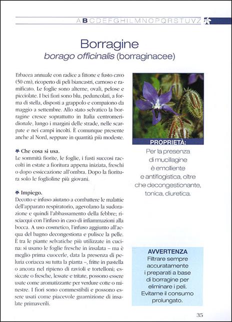 Curarsi con erbe e piante. Benefici e utilizzo della farmacia naturale - 2