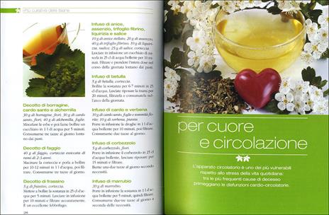 Infusi e tisane. I preparati a base di erbe e frutta che aiutano a stare bene - Walter Pedrotti - 2