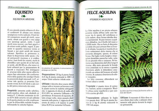 Orto e frutteto biologico. Il grande libro - 3