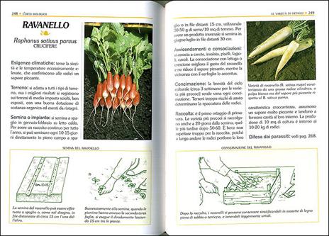 Orto e frutteto biologico. Il grande libro - 4