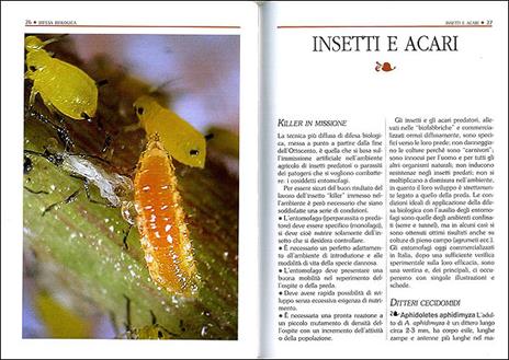 Antiparassitari naturali per l'orto, il frutteto, il giardino - 2