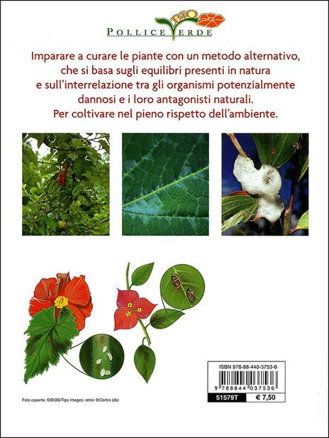 Antiparassitari naturali per l'orto, il frutteto, il giardino - 3