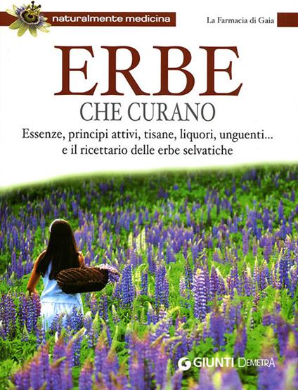 Erbe che curano. Essenze, principi attivi, tisane, liquori, unguenti... e il ricettario delle erbe selvatiche - copertina