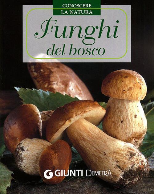 Funghi del bosco - copertina