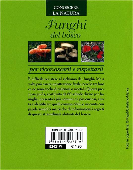 Funghi del bosco - 3