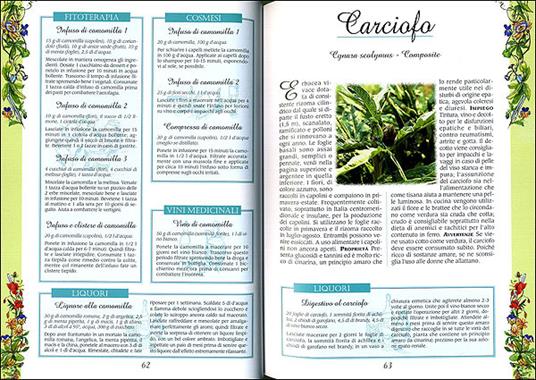 Erbe buone per la salute. Il ricettario completo - 3