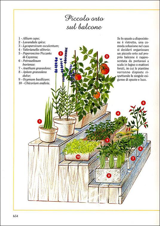 Il grande libro. Orto, frutteto, giardino. Tecniche colturali, varietà, malattie e cure - 6