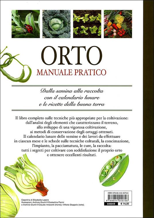 Orto. Manuale pratico - Giuseppe Rama - 4