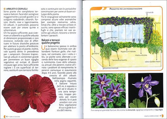 Pollice verde. Il manuale completo del giardinaggio - 2