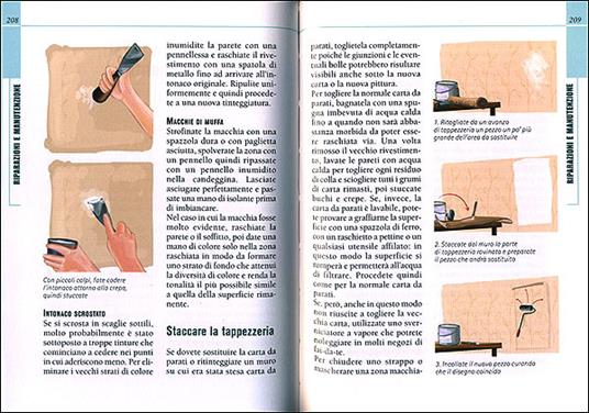 Tutto casa. 1000 consigli di sopravvivenza - Patrizia Rognoni - 2