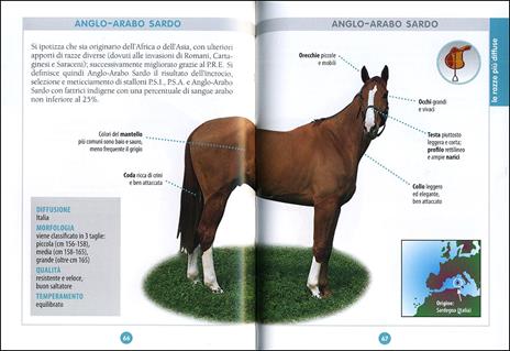 Cavallo. Il manuale completo - Ippolita Orsi - 3