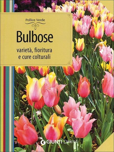 Bulbose. Varietà, fioritura e cure colturali - Mimma Pallavicini - copertina