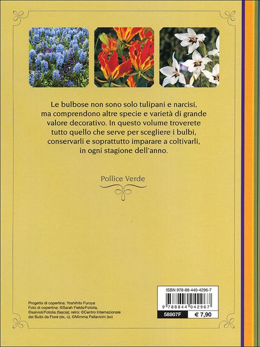 Bulbose. Varietà, fioritura e cure colturali - Mimma Pallavicini - 4