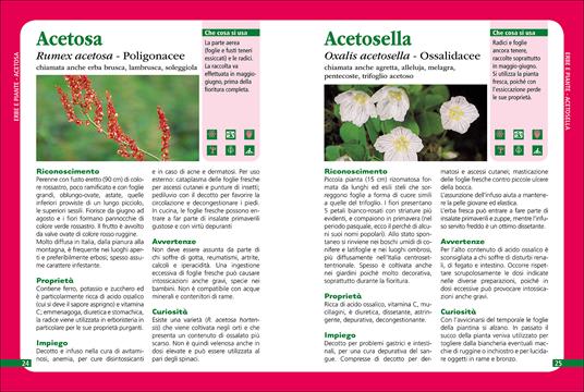 Erbe che curano. Essenze, tisane, unguenti, liquori e il ricettario delle erbe selvatiche - 2