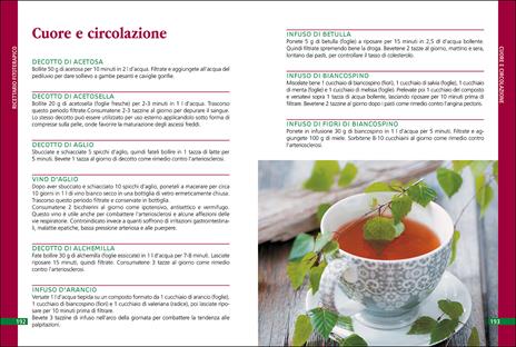 Erbe che curano. Essenze, tisane, unguenti, liquori e il ricettario delle erbe selvatiche - 3