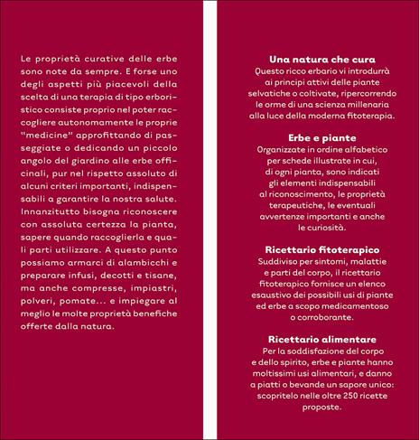 Erbe che curano. Essenze, tisane, unguenti, liquori e il ricettario delle erbe selvatiche - 4