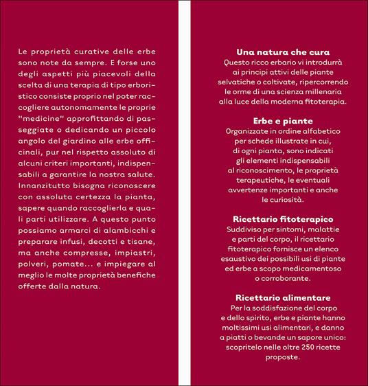 Erbe che curano. Essenze, tisane, unguenti, liquori e il ricettario delle erbe selvatiche - 4