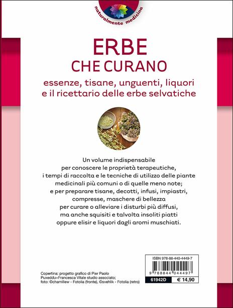 Erbe che curano. Essenze, tisane, unguenti, liquori e il ricettario delle erbe selvatiche - 5