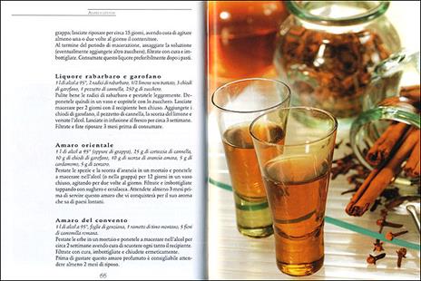 Fare e distillare Liquori d'erbe - 2