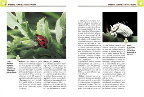 Antiparassitari naturali per l'orto, il frutteto e il giardino - Adriano Del Fabro - 4