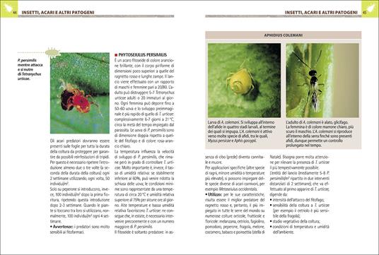 Antiparassitari naturali per l'orto, il frutteto e il giardino - Adriano Del Fabro - 6