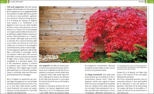 Giardino in vaso sul balcone e terrazzo - Eliana Ferioli - 2