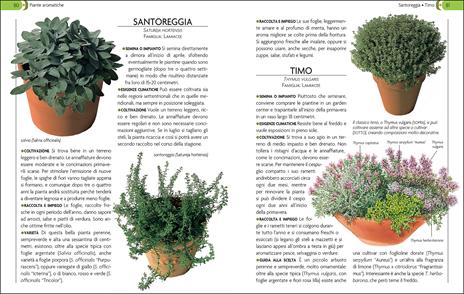 L'orto sul balcone. Organizzazione e coltivazione - 3
