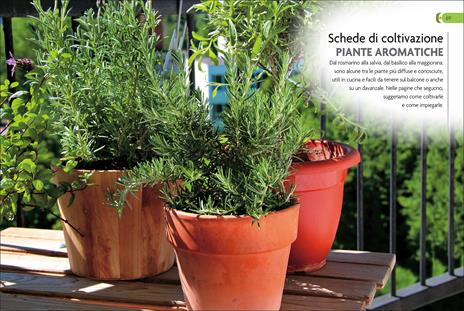 L'orto sul balcone. Organizzazione e coltivazione - 4