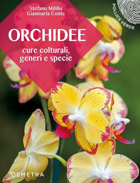 Orchidee. Cure colturali, generi e specie - Stefano Milillo,Gianmaria Conte - copertina