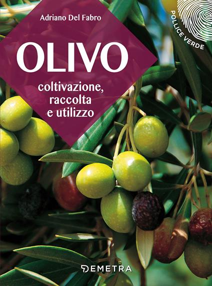 L'olivo. Coltivazione, raccolta e utilizzo - Adriano Del Fabro - copertina
