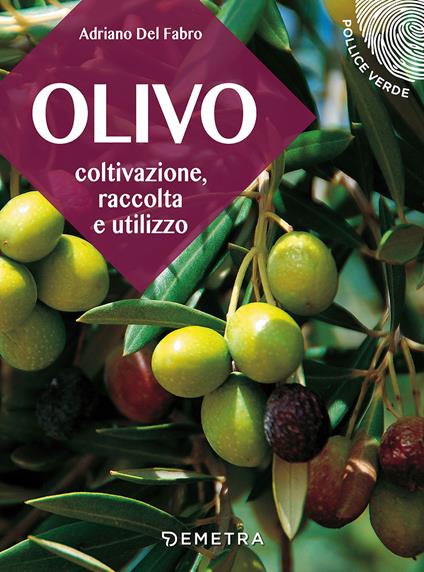 L' olivo. Coltivazione, raccolta e utilizzo - Adriano Del Fabro - copertina