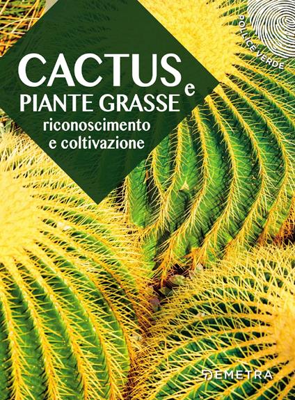 Cactus e piante grasse. Riconoscimento e coltivazione - copertina