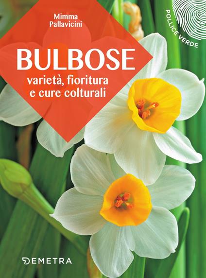 Bulbose. Varietà, fioritura e cure colturali - Mimma Pallavicini - copertina