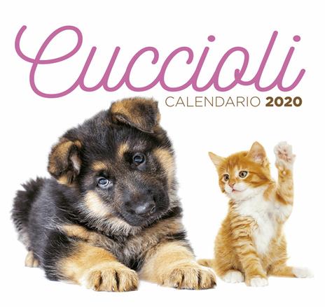 Cuccioli. Calendario desk 2020 - copertina