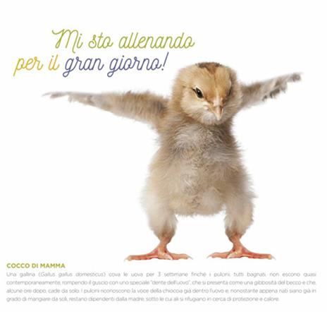 Cuccioli. Calendario desk 2020 - 3