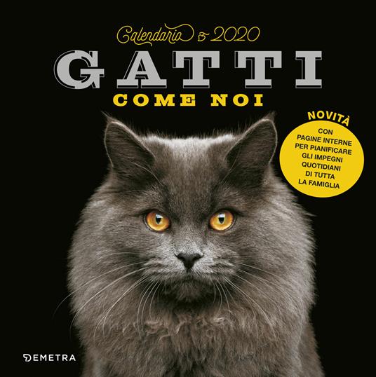 Gatti come noi. Calendario 2020 - copertina