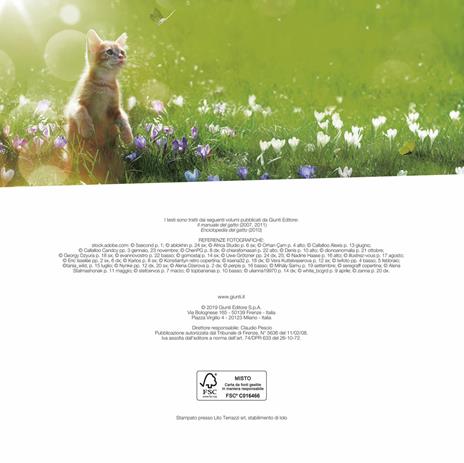 Gatti come noi. Calendario 2020 - 2